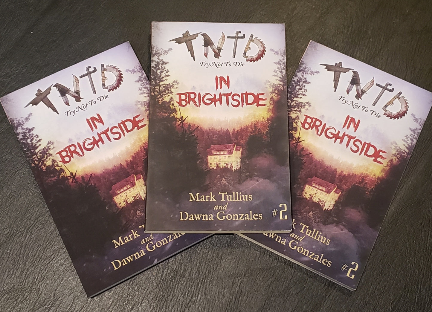 Try Not to Die: In Brightside - Signed Paperback (Tullius Only)